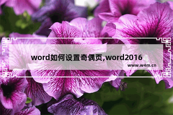 word如何设置奇偶页,word2016怎么设置奇偶页不同