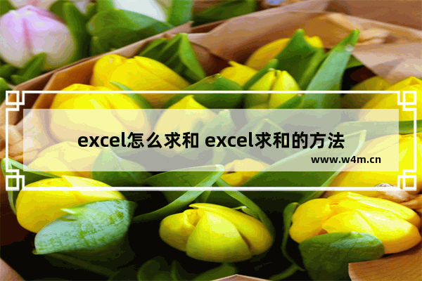 excel怎么求和 excel求和的方法