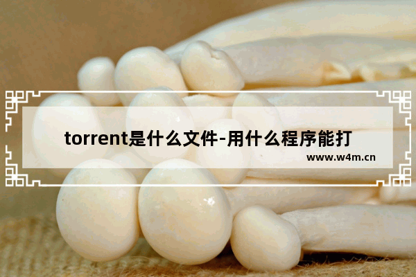 torrent是什么文件-用什么程序能打开-,什么软件可以打开torrent文件