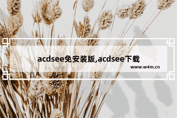 acdsee免安装版,acdsee下载