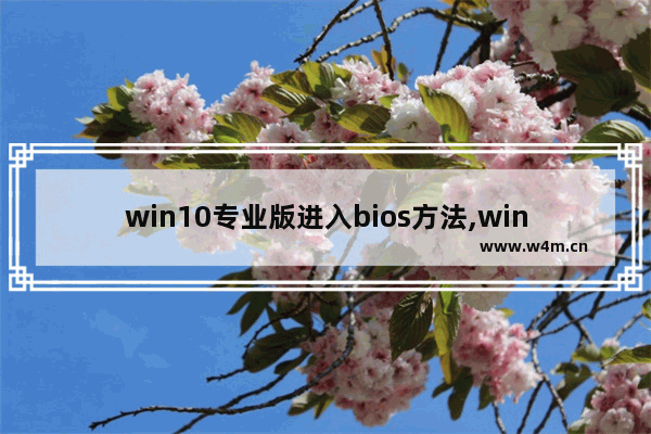 win10专业版进入bios方法,window10如何打开bios