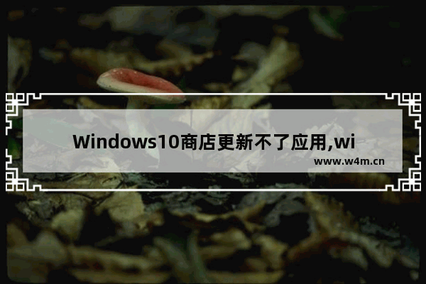 Windows10商店更新不了应用,windows应用商店怎么更新