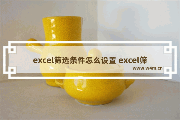 excel筛选条件怎么设置 excel筛选条件设置的步骤