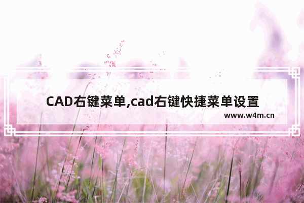 CAD右键菜单,cad右键快捷菜单设置