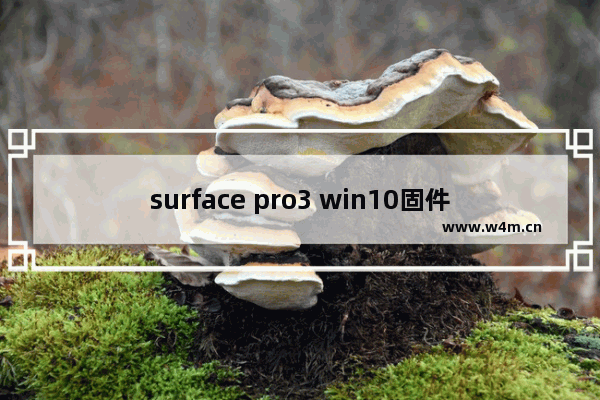 surface pro3 win10固件下载,surface pro 系统更新