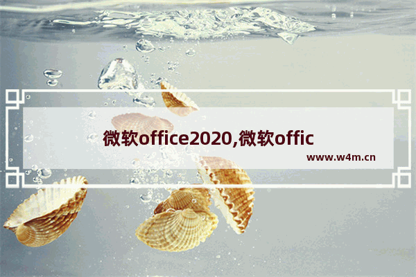 微软office2020,微软office2019和365