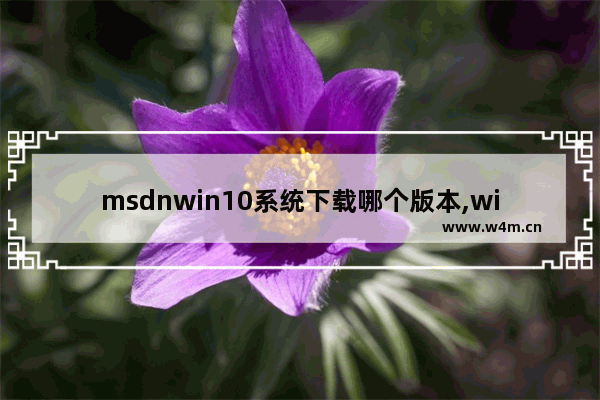 msdnwin10系统下载哪个版本,win7 各版本