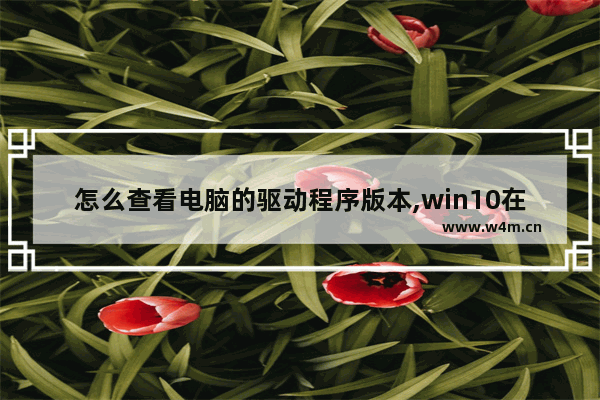 怎么查看电脑的驱动程序版本,win10在哪看驱动程序