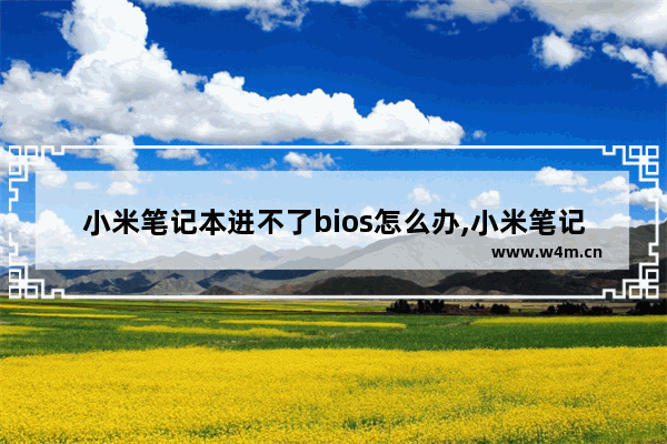 小米笔记本进不了bios怎么办,小米笔记本bios进不去