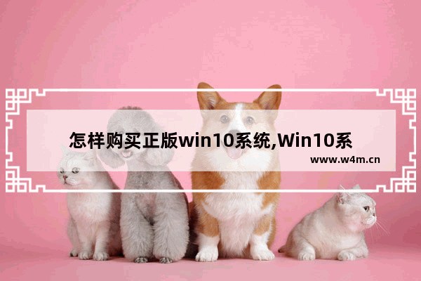 怎样购买正版win10系统,Win10系统正版多少钱