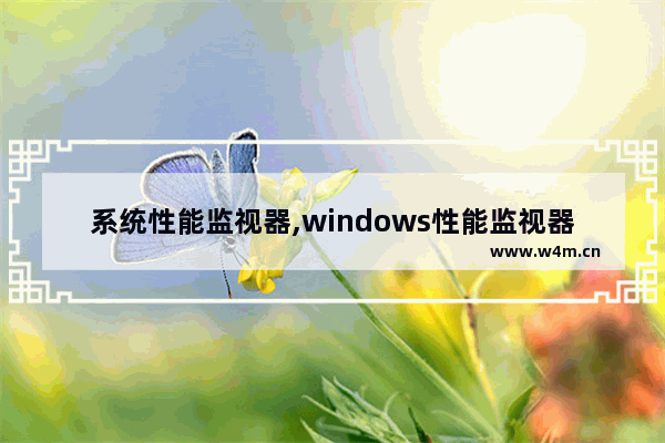 系统性能监视器,windows性能监视器