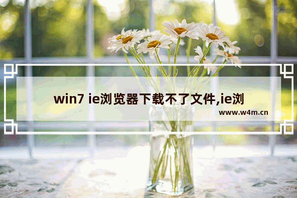 win7 ie浏览器下载不了文件,ie浏览器下载失败怎么办