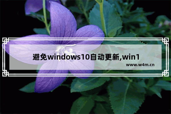 避免windows10自动更新,win10系统更新提示