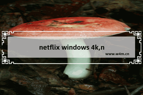 netflix windows 4k,netflix怎么看4k hdr