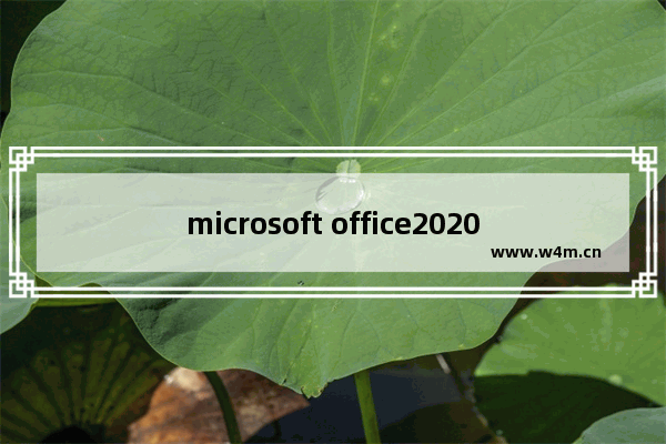 microsoft office2020永久激活密钥,microsoft office2019激活密钥