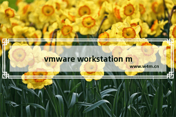 vmware workstation mac版本,mac用parallels安装win10