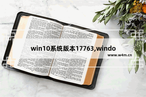 win10系统版本17763,windows 10 build 21390