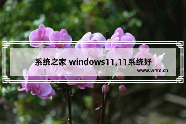 系统之家 windows11,11系统好不好