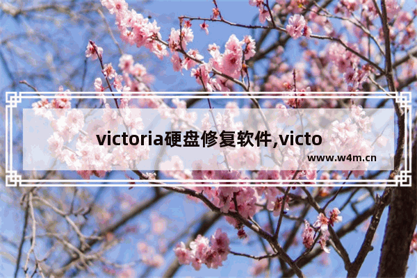 victoria硬盘修复软件,victoria怎么修复硬盘