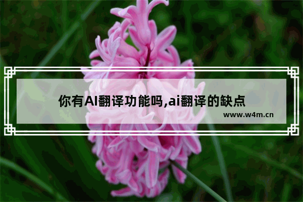 你有AI翻译功能吗,ai翻译的缺点