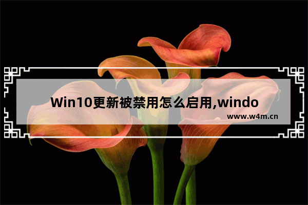 Win10更新被禁用怎么启用,windows 10禁止更新