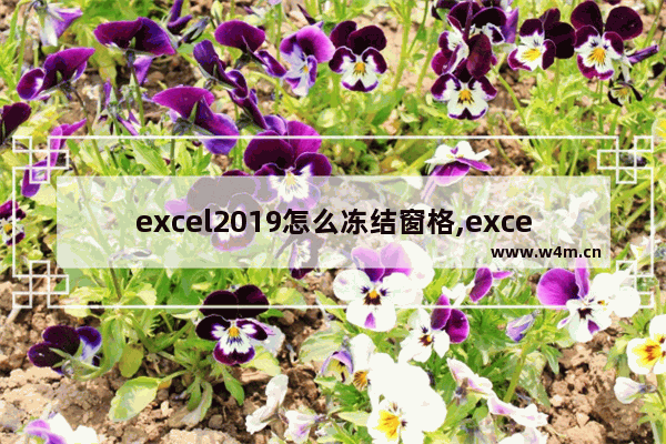 excel2019怎么冻结窗格,excel2019冻结窗口在哪