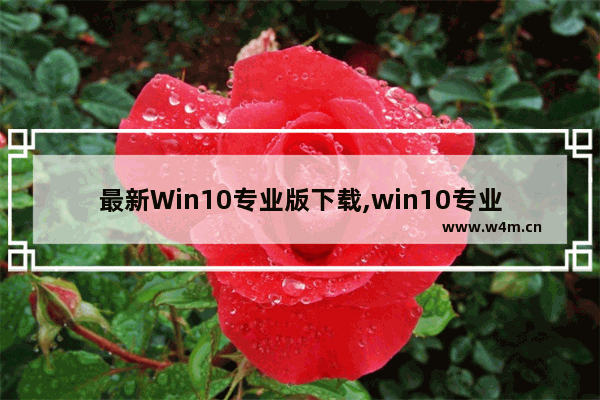 最新Win10专业版下载,win10专业版下载软件