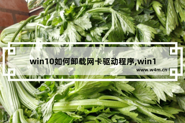 win10如何卸载网卡驱动程序,win10无线网卡驱动怎么卸载