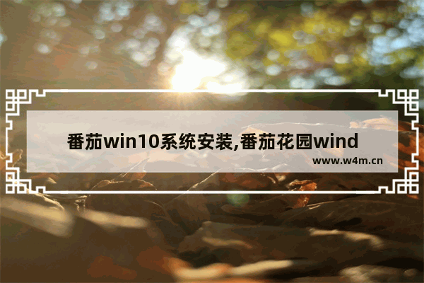 番茄win10系统安装,番茄花园windows7怎么安装