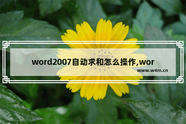 word2007自动求和怎么操作,word表格如何自动求和