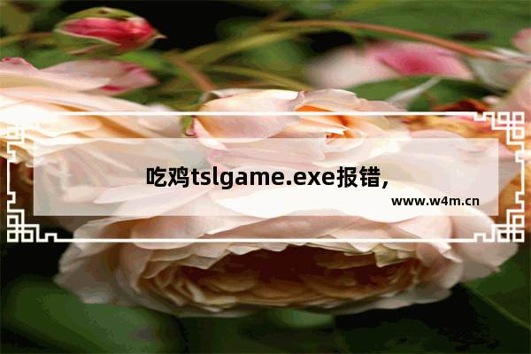 吃鸡tslgame.exe报错,