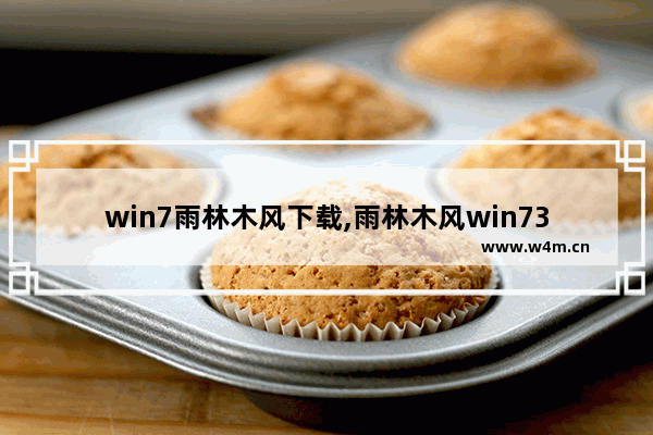 win7雨林木风下载,雨林木风win732位系统下载