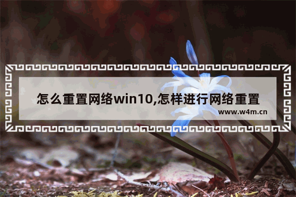 怎么重置网络win10,怎样进行网络重置win10