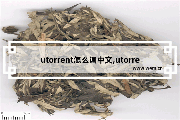 utorrent怎么调中文,utorrentweb怎么用