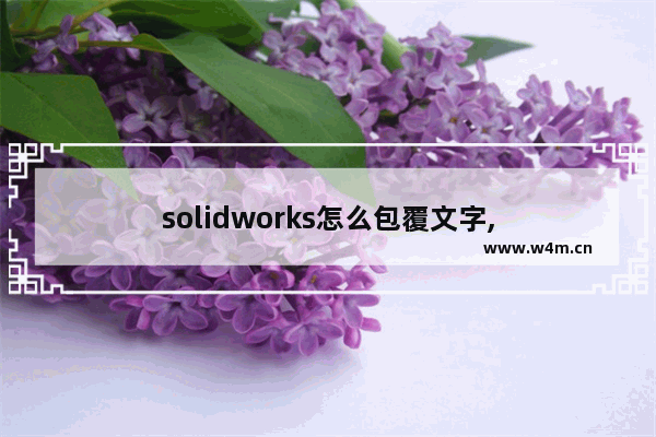 solidworks怎么包覆文字,