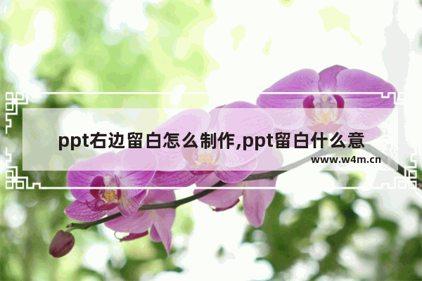 ppt右边留白怎么制作,ppt留白什么意思