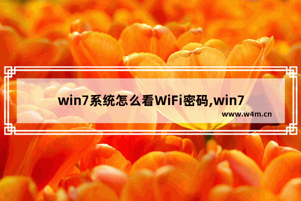 win7系统怎么看WiFi密码,win7怎样查看wifi密码