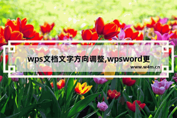 wps文档文字方向调整,wpsword更改文字方向