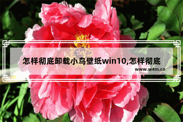 怎样彻底卸载小鸟壁纸win10,怎样彻底卸载小鸟壁纸和鲁大师