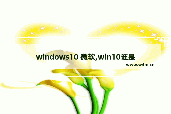 windows10 微软,win10谁是这台电脑的拥有者下一步