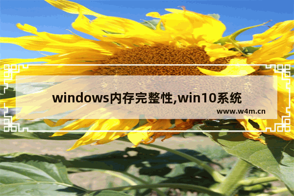 windows内存完整性,win10系统内存越大越好吗