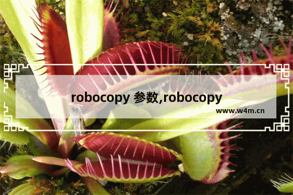 robocopy 参数,robocopy命令