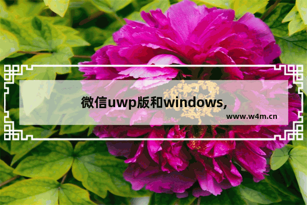 微信uwp版和windows,