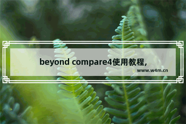 beyond compare4使用教程,beyondthewire怎么玩