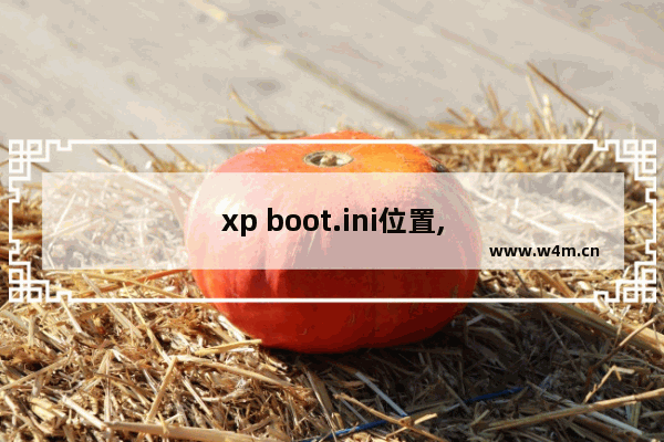 xp boot.ini位置,