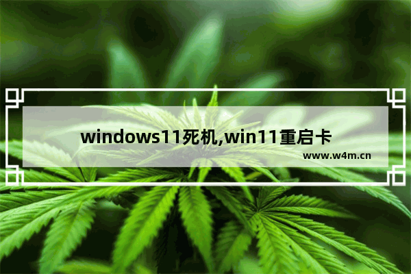 windows11死机,win11重启卡死