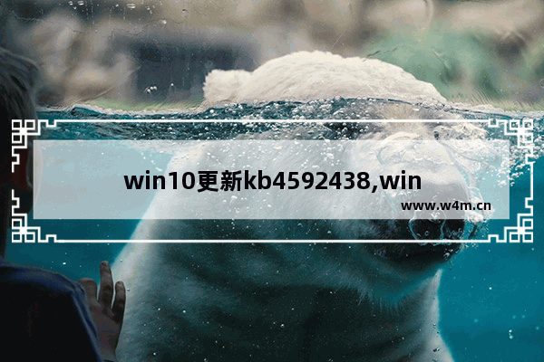 win10更新kb4592438,win10更新kb4592449