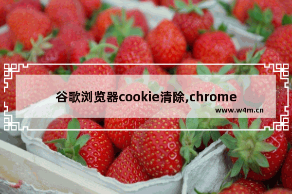 谷歌浏览器cookie清除,chrome怎么清除cookie