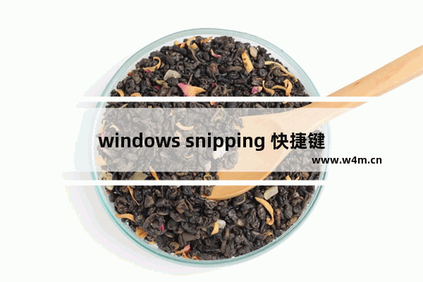 windows snipping 快捷键,