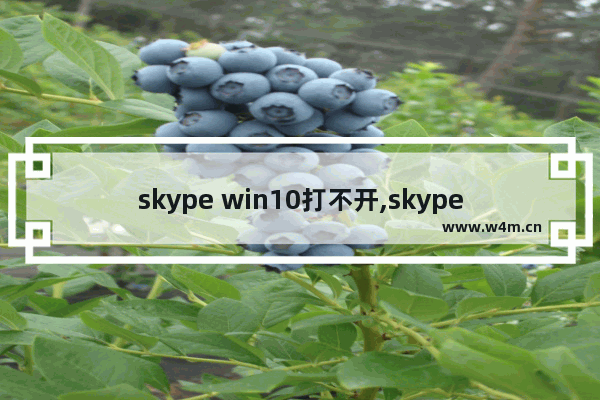 skype win10打不开,skype电脑版不能使用